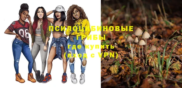 бошки Зерноград