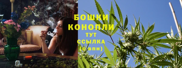 стаф Зеленодольск