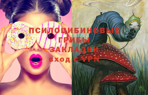 герыч Пересвет